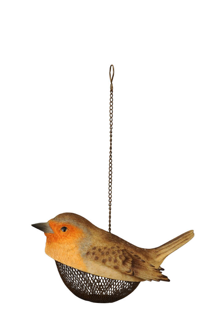 Futterstation Rotkehlchen